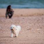 pexels-asemirski-15781566