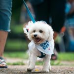 pexels-chris-f-38966-27035109