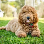 pexels-alteredsnaps-18964464