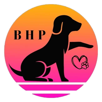 Maltipoo, Cavapoo, and Teddy Bear puppies raised by Boundless Horizon Puppies in Millersburg, Ohio